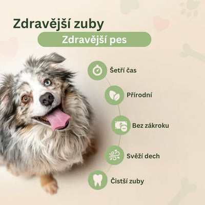 DentaGuard™ Nabídka týdne